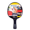 Набор для настольного тенниса DONIC PLAYTEC OUTDOOR (788649)