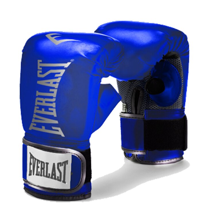 Перчатки снарядные Everlast MMA (P00002079)