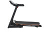 Беговая дорожка электрическая ROYAL Fitness (RF-5)
